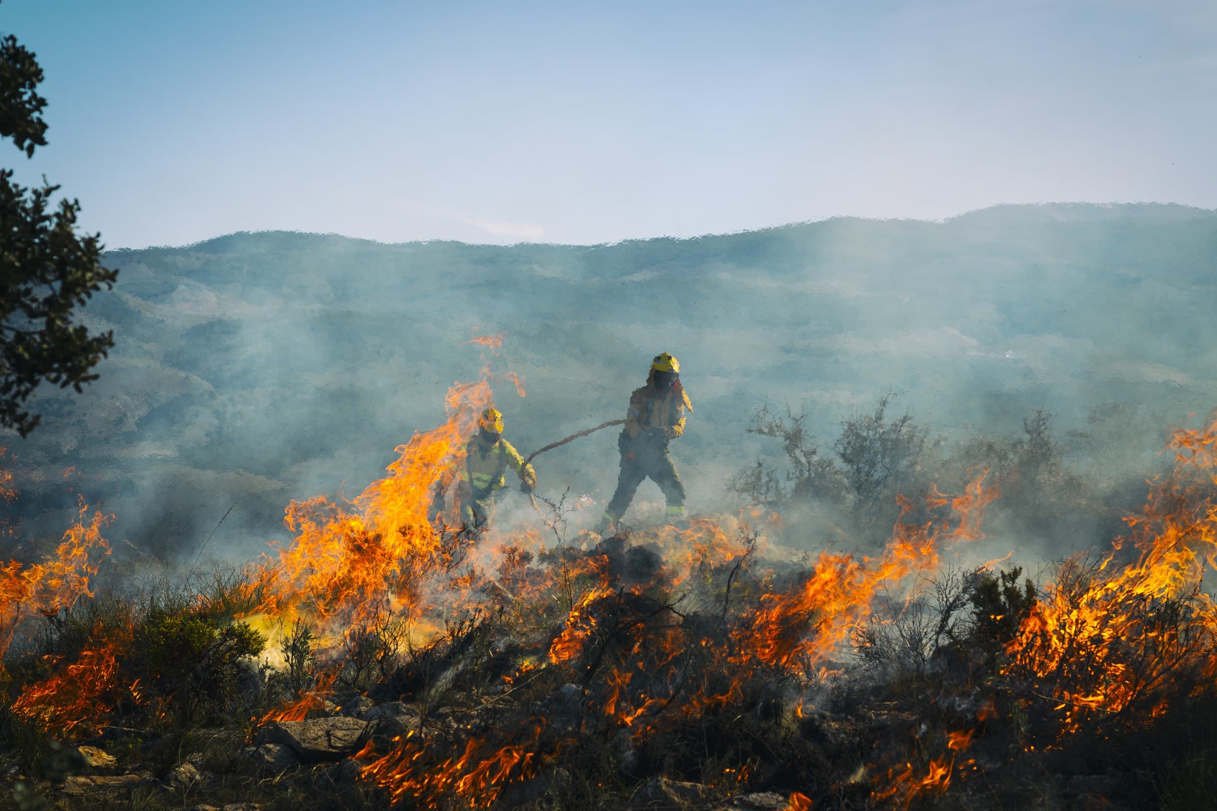 El monte arde