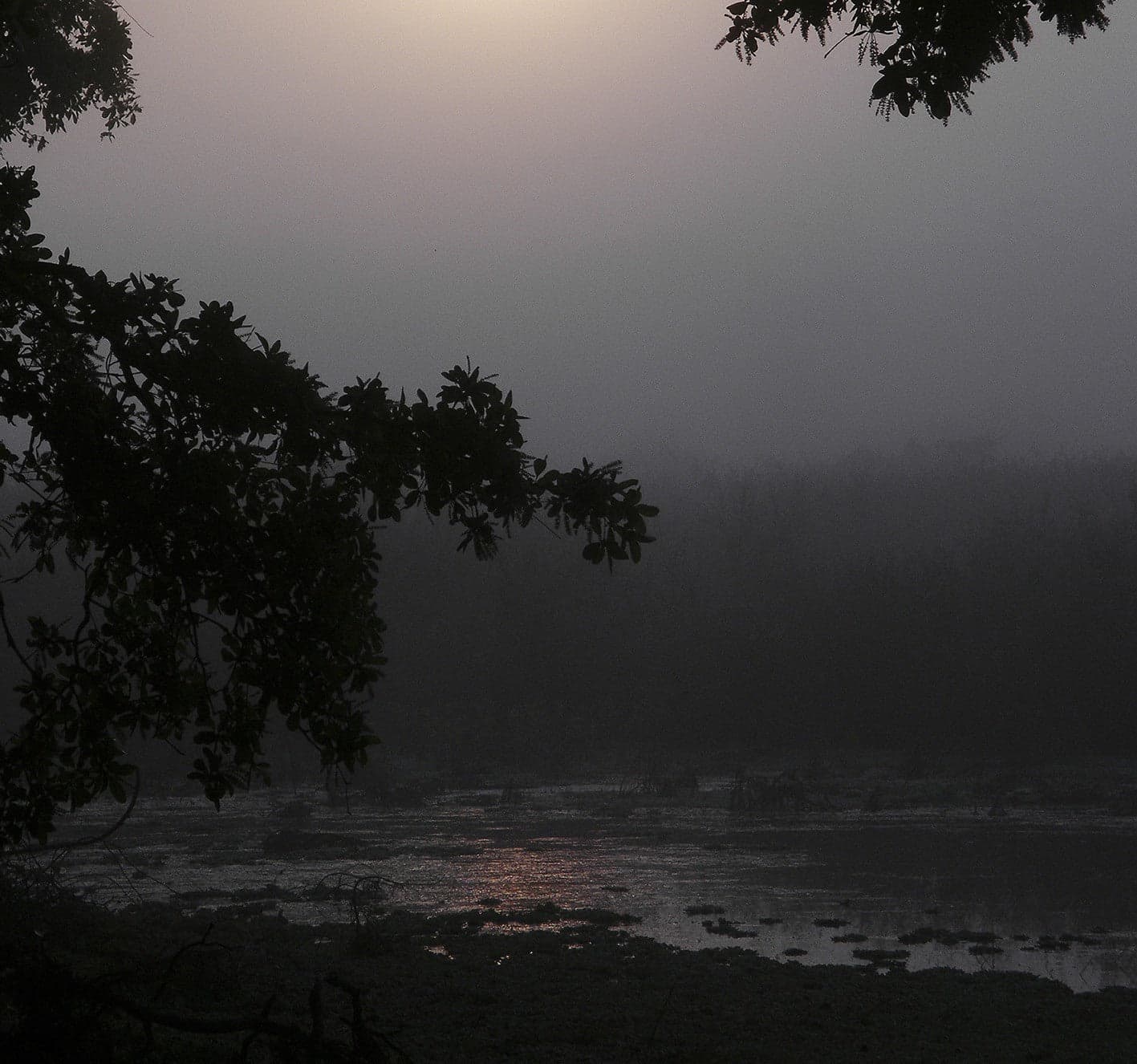 Color en la niebla