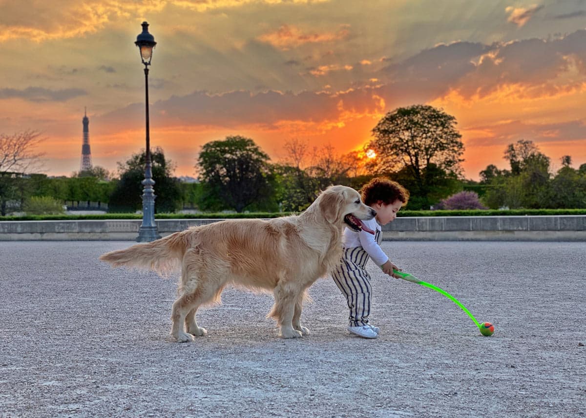Atardecer en el jardín