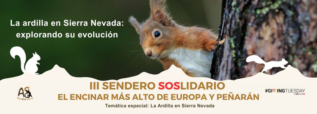 La ardilla en Sierra Nevada: explorando su evolución