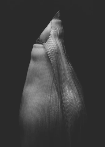 Bases del XI Concurso ArteSOSlidario de Fotografía